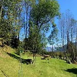 Dans Avec Jardin, Vue Montagne Apartamento *