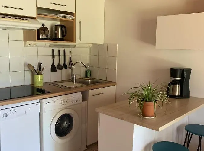 Dans Avec Jardin, Vue Montagne Aucun